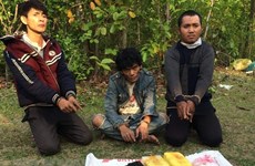 广平省：逮捕非法运输毒品进入越南境内的三名老挝籍疑犯