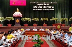 越南共产党胡志明市第十届委员会第十六次会议召开