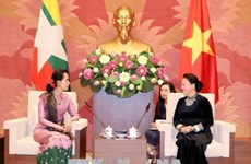 越南国会主席阮氏金银会见缅甸国家顾问兼外交部长昂山素季