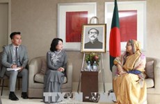 国家副主席邓氏玉盛会见孟加拉国总理谢赫·哈西娜