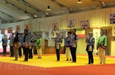 第十八届亚洲运动会：越南参加印度尼西亚克柔术比赛