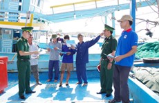 金瓯省采取强有力措施阻止渔民侵犯外国海域