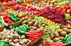 今年前4月蔬果出口额同比增长近30%