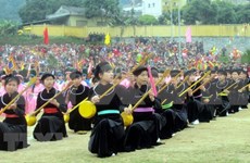 越南全国天曲天琴艺术节：推崇“天”艺术在越南文化生活中的价值