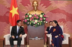 越南国会副主席丛氏放会见老挝人民革命党共青团中央书记