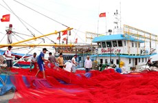 越南中部各省致力解决海洋环境污染事故 恢复灾区生产经营活动