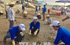 1000余名青年团员响应“绿色越南海洋运动”号召投身净化海洋行动中