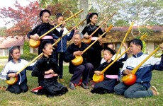 越南艺术家呼吁出台有效措施保护并弘扬天琴弹唱艺术