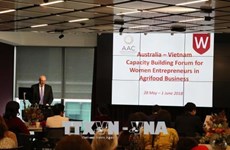 澳大利亚-越南论坛—提高女企业家能力的平台