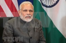 印度总理莫迪强调东盟国家在“向东行动”政策中的作用