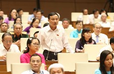 越南第14届国会第5次会议：阮氏金银要求有效合法使用基础设施投资专项资金