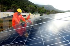 总额为1.3万亿越盾的太阳能发电站在宁顺省兴建