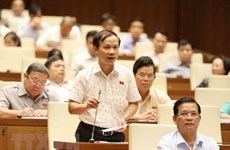越南第十四届国会第五次会议：质询活动产生积极效应