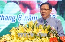 王廷惠副总理：北江省应注重荔枝收获后的保鲜技术