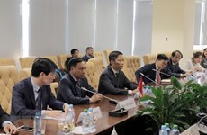 越南与欧亚经济联盟促进合作关系