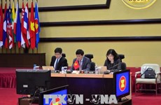 越南共同主持召开第18次东盟印度联合合作委员会会议