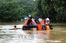 北部山区各省遭特大暴雨洪水袭击  政府总理指导抓紧做好救灾工作