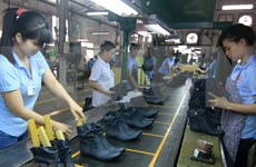 越南皮革制鞋业力争实现至2020年出口额达240-260亿美元的目标