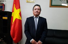 越南驻阿尔及利亚大使：客服法律障碍 促进越阿经贸与劳务合作