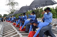 同塔省为在柬牺牲的85具越南志愿军和专家遗骨举行追悼会