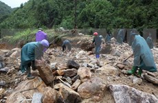 三号台风严重影响越南北部和中部 伤亡失踪人数超过70
