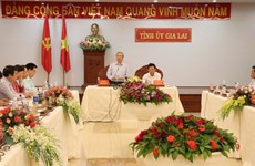 越共中央书记处常务书记陈国旺走访嘉莱省