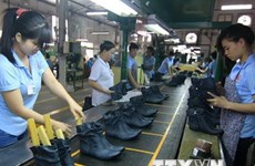 越南皮革制鞋业及箱包出口额持续大幅增长
