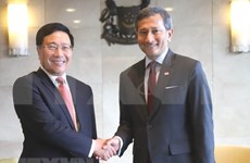 越南与新加坡同意充分和有效展开双方高层领导所达成的协议