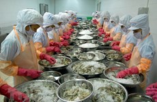越南虾类和鲍鱼将被实施《海产品进口监督程序》