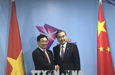 第51届东盟外长会议：越南政府副总理兼外长范平明会见中国外长王毅