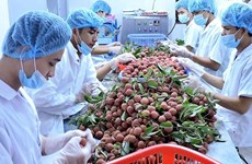 越南有望跻身世界五大农产品出口国家榜单