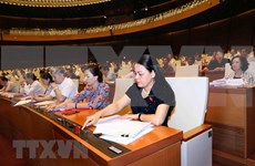 越南国会通过有关2019年法律法令制定计划和2018年法律法令制定计划调整方案的决议