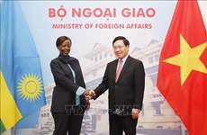 越南政府副总理兼外长范平明与卢旺达外交合作部长穆希基瓦博举行会谈