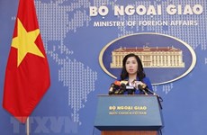 越南外交部发言人：要求中国尊重越南对黄沙和长沙两个群岛的主权