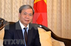 越南驻印度大使： 越印全面战略伙伴关系正呈现出务实有效的发展态势