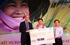 大米可持续生产与减少温室气体排放项目颁奖仪式在太平省举行