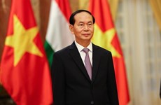 陈大光主席埃塞俄比亚和埃及之行：深化越南与非洲国家之间的传统友谊