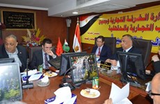 越南与埃及将扩大在多个领域中的合作关系