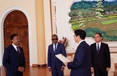 马达加斯加重视与越南的传统友好合作关系