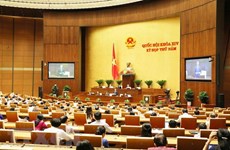 越南第十四届国会第六次会议：暂不审议《特别行政经济单位法》（草案）