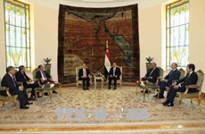 越南国家主席陈大光与埃及总统阿卜杜勒·法塔赫·塞西举行会谈