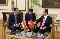 陈大光建议埃及政府为越南农水产品打入埃及连锁超市创造便利条件