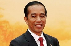 印度尼西亚总统即将对越南进行国事访问