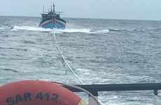 成功营救在越中北部湾共同渔区遇险的8名渔民