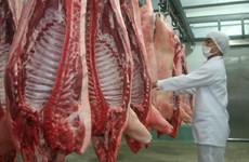 越南暂时停止进口波兰和匈牙利的猪肉