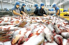 美国对越南查鱼产品降低反倾销税