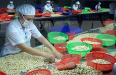 越南农产品出口额居东南亚地区第二位 