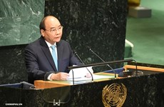 越南外交部副部长阮芳娥：越南政府总理阮春福在联合国之行取得丰硕成果