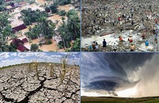 越南加大宣传力度  响应减轻自然灾害日
