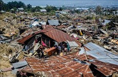 印尼地震和海啸：联合国提供紧急援助   印尼拒绝美国援助